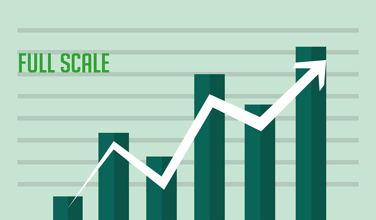 Explain the steps on how to transition from a startup to a scale up